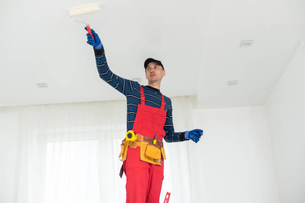 Best Ceiling Drywall Installation  in Doolittle, TX